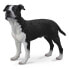 Фото #1 товара COLLECTA American Staffordshire Terrier Figure