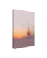 Фото #2 товара Anna Cseresnjes Sunset Flamingo Canvas Art - 15" x 20"