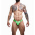 Фото #1 товара C4M32 Brief / Swimwear Emerald Green