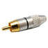 EUROCONNEX Male Professional Gold Metal N Black Line RCA Connector