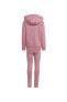 Düz Pembe Kadın Eşofman Takımı IR6910-HOODIE LEG SET