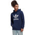 ADIDAS ORIGINALS Adicolor Classics Trefoil hoodie