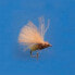 Фото #1 товара BLUE FOX Caddis Mangy 16 Fly