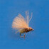 BLUE FOX Caddis Mangy 16 Fly