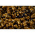 Фото #4 товара STICKY BAITS Manilla 2.5kg Pellets