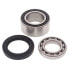 All BALLS 14-1011 Arctic Cat Bearing&Seal Differential Kit - фото #2