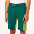 Фото #9 товара OAKLEY APPAREL Rings Mountain shorts