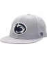 ფოტო #1 პროდუქტის Men's Gray Penn State Nittany Lions Fitted Hat