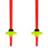 LEKI ALPINO Racing Poles