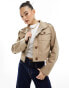 Фото #1 товара River Island cropped trench jacket in beige