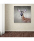 Фото #3 товара Jai Johnson 'Little Miss Lashes White Tailed Fawn' Canvas Art - 24" x 24" x 2"
