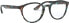 Ray-Ban RX5362 Square Prescription Eyeglass Frames