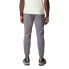 Фото #2 товара COLUMBIA CSC Logo™ II pants