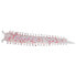 Фото #6 товара SEA MONSTERS Mini Soft Lure 45 mm