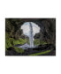 Фото #1 товара Bragi Kort Hidden Waterfall Canvas Art - 15" x 20"