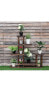 Фото #3 товара 6-Tier Garden Wooden Plant Flower Stand Shelf for Multiple Plants Indoor or Outdoor