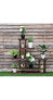 6-Tier Garden Wooden Plant Flower Stand Shelf for Multiple Plants Indoor or Outdoor