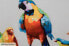 Acrylbild handgemalt Paradiesvögel