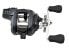 Shimano Tekota A 300 400 Fishing Reels | FREE 2-DAY SHIP TEK400HGLCA - фото #2