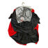 Member's Mark Girl's Vampire Costume With Glitter Bat Cutout Headband