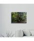 Фото #3 товара Pierre Leclerc Angel Oak Charleston Floating Brushed Aluminum Art - 22" x 25"