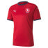 Фото #4 товара [756493-01] Mens Puma FACR HOME SHIRT REPLICA