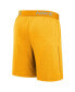 ფოტო #3 პროდუქტის Men's Gold Pittsburgh Pirates City Connect Performance Practice Shorts