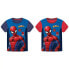 SAFTA Spider-Man Her 2 Designs Assorted short sleeve T-shirt