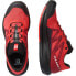 Фото #6 товара SALOMON Pulsar trail running shoes