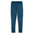 Фото #2 товара Puma Individualfinal Soccer Training Pants Mens Blue Casual Athletic Bottoms 659