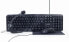 Фото #1 товара Gembird KBS-UO4-01 - Full-size (100%) - USB - QWERTY - Black - Mouse included