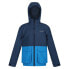 Фото #3 товара REGATTA Hywell softshell jacket