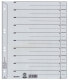 Фото #1 товара Esselte Leitz 16500085 - Numeric tab index - Cardboard - Grey - A4 - 200 g/m² - 240 mm