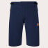 OAKLEY APPAREL Factory Pilot Lite shorts