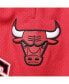 ფოტო #5 პროდუქტის Men's Red Chicago Bulls Mesh Capsule Shorts