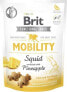 Фото #1 товара Сухой корм для собак Brit, Care Dog Functional Snack Mobility Squid, лакомство, с кальмаром и тыквой, 0.15 кг