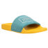 Prince Palms Slide Mens Blue, Yellow Casual Sandals PDPSL00001-601