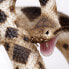 Фото #4 товара Фигурка Safari Ltd Eastern Diamondback Rattlesnake Figure Wild Safari (Дикая Сафари)