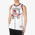 Фото #3 товара Майка Mitchell Ness NBA SW98-99 1 SMJYAC18106-TRAWHIT98TMC