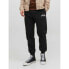 JACK & JONES Kane Josh sweat pants