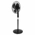 Freestanding Fan Oceanic 683568