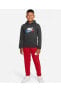Sportswear Hoodie Gri Erkek Çocuk Sweatshirt FD1197-070