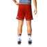 Фото #8 товара Adidas Squadra 17 M BJ9226 football shorts