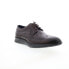 Фото #2 товара Zanzara Helston Mens Brown Oxfords & Lace Ups Wingtip & Brogue Shoes 12