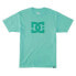 DC SHOES Dcstar Pigment short sleeve T-shirt
