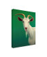 Фото #2 товара James W. Johnson 'Portrait Of A Goat' Canvas Art - 18" x 24"