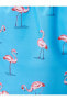 Фото #66 товара Шорты Koton Flamingo