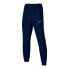 Фото #1 товара Pants Nike Academy 23 Track M DR1725-451