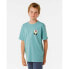 RIP CURL Surf Revivial Peaking short sleeve T-shirt