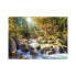 Фото #1 товара Puzzle Sunny Forest Sream 2000 Teile